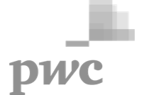Pricewaterhouse Coopers Logo svg